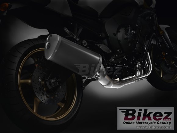 2011 Yamaha FZ8 ABS photo